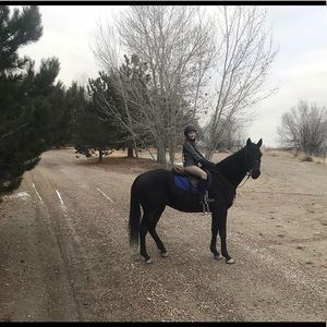 Meet your Posher, Freya